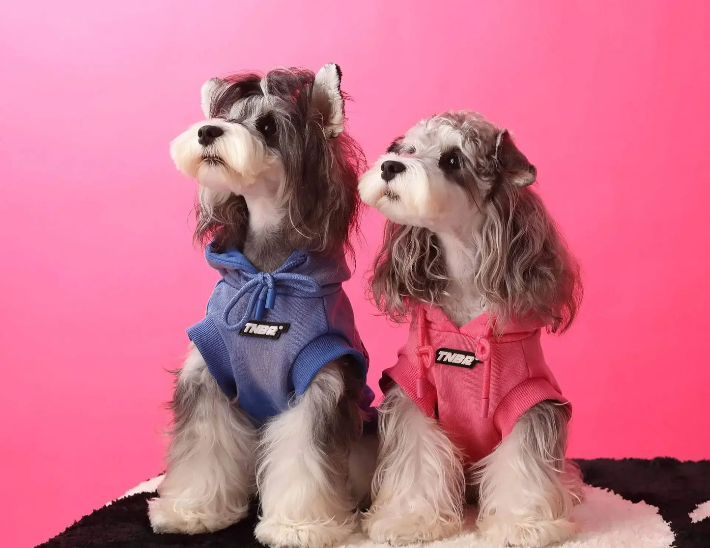 Urban Pup Hoodie