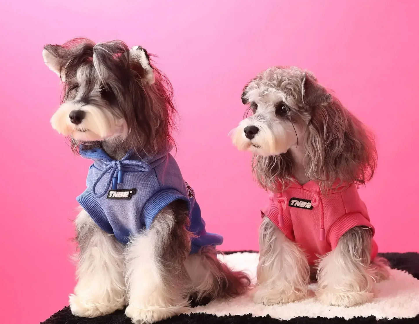 Urban Pup Hoodie