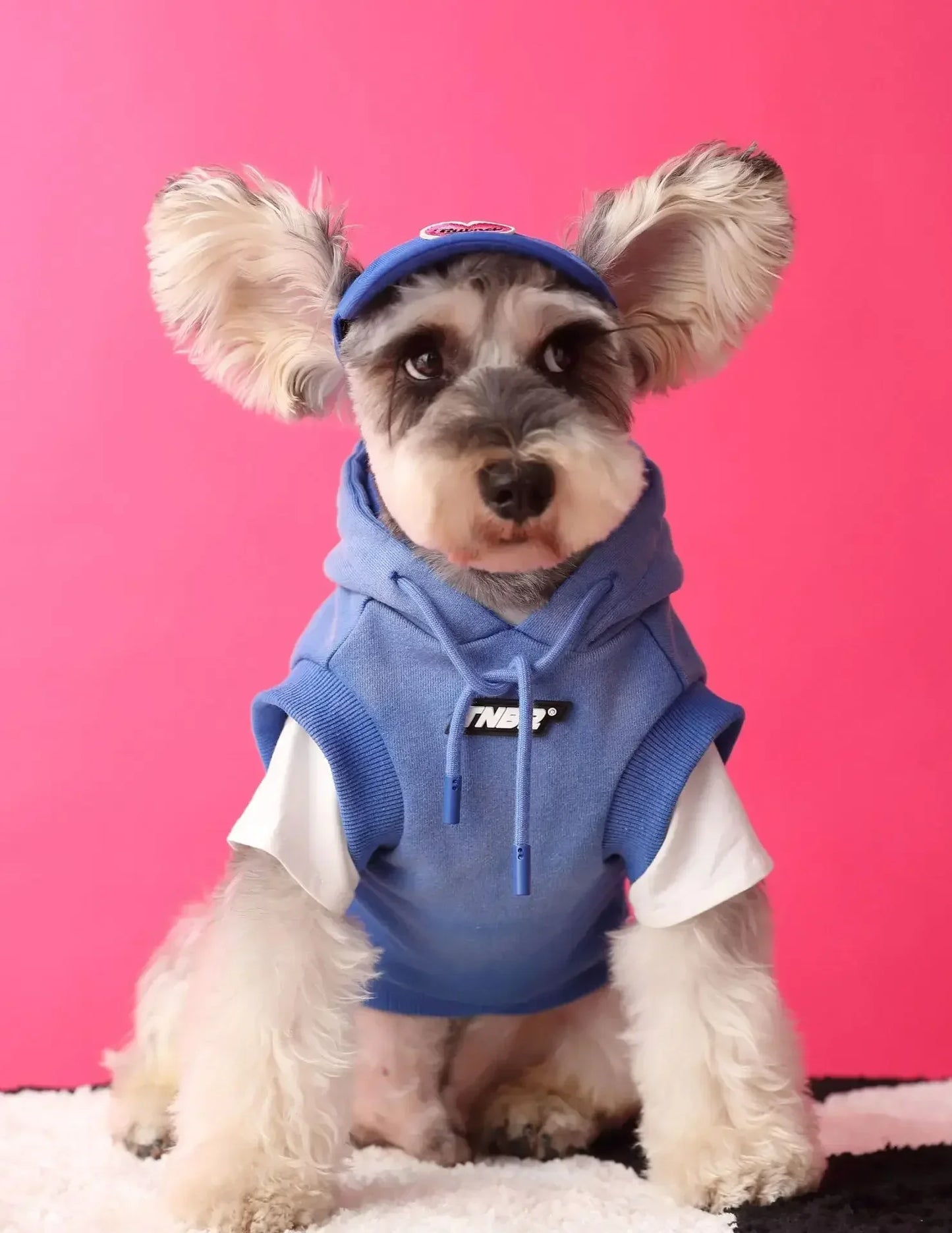Urban Pup Hoodie
