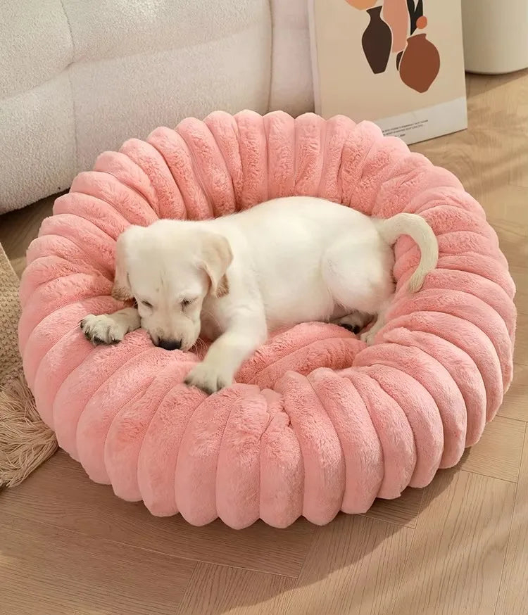 FluffHaven Pet Retreat