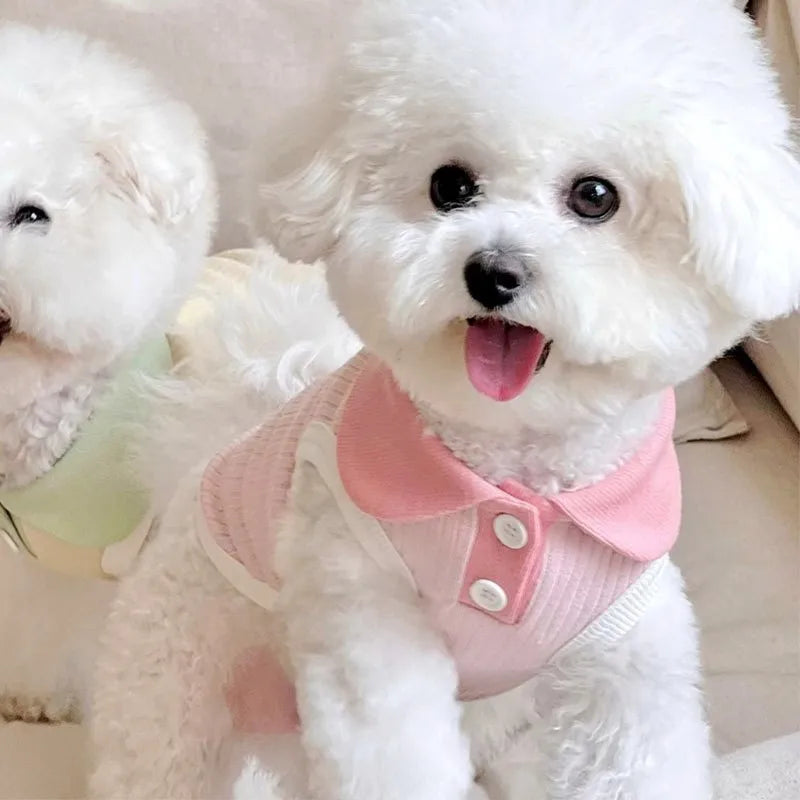 Stylish Pet Polo