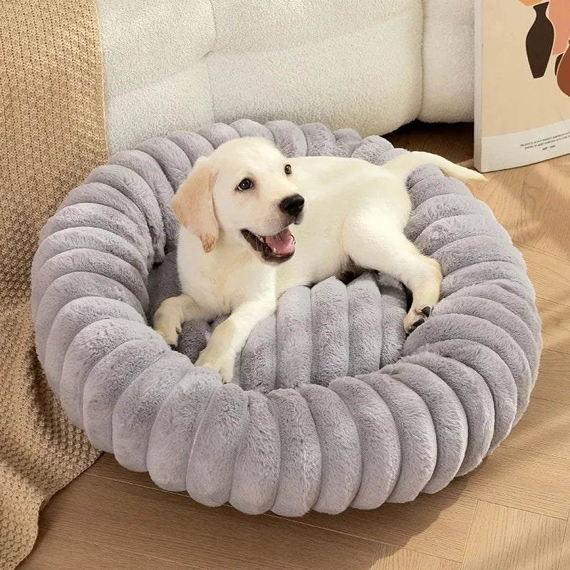 FluffHaven Pet Retreat