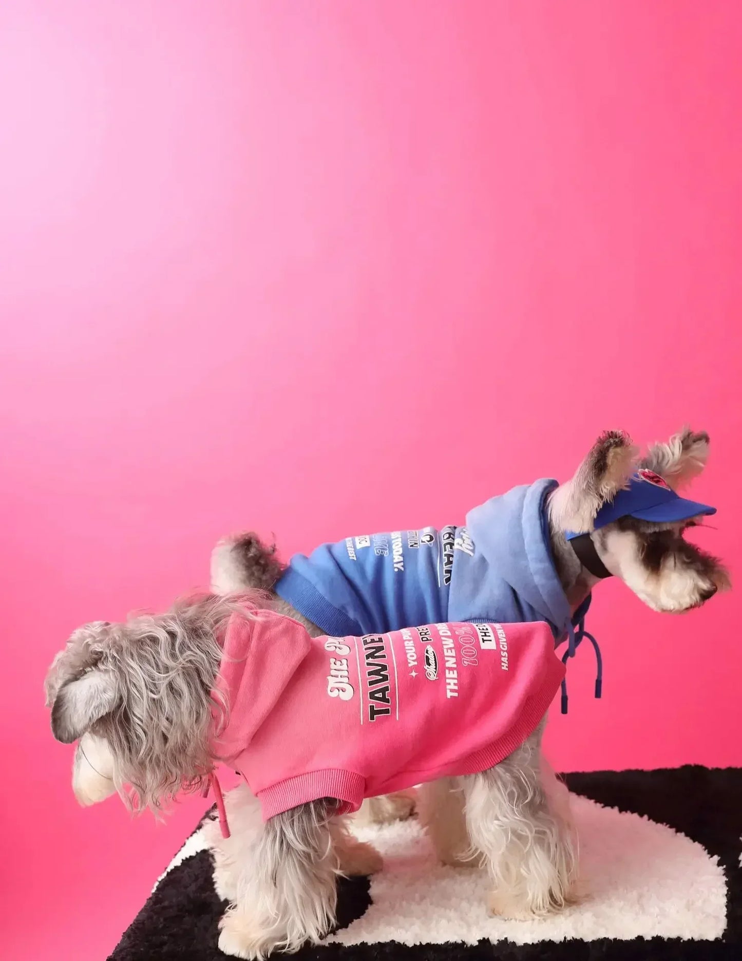 Urban Pup Hoodie