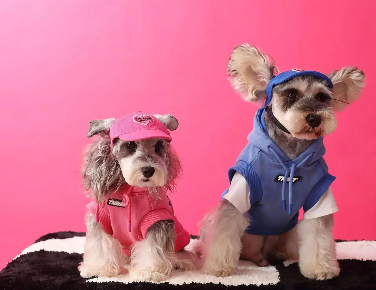Urban Pup Hoodie