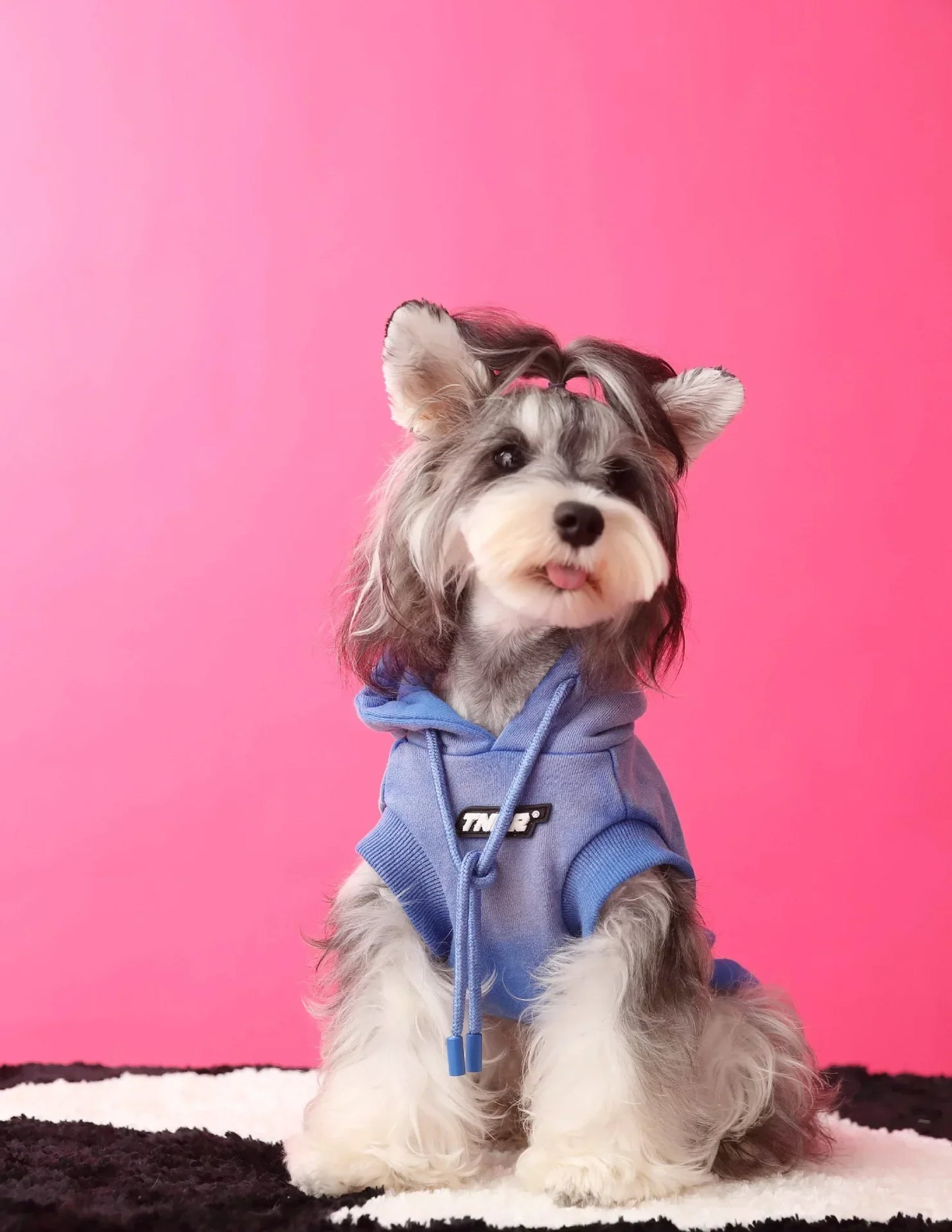 Urban Pup Hoodie