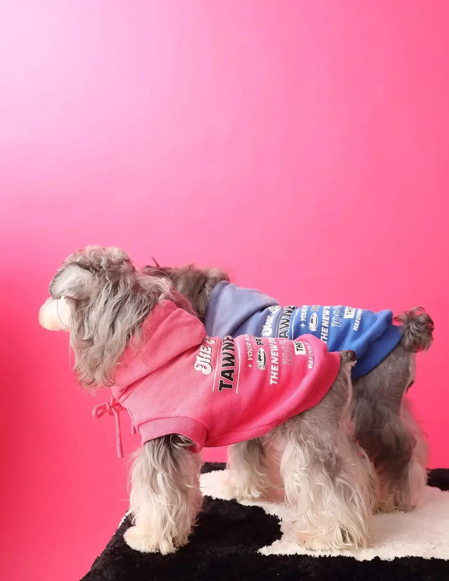 Urban Pup Hoodie