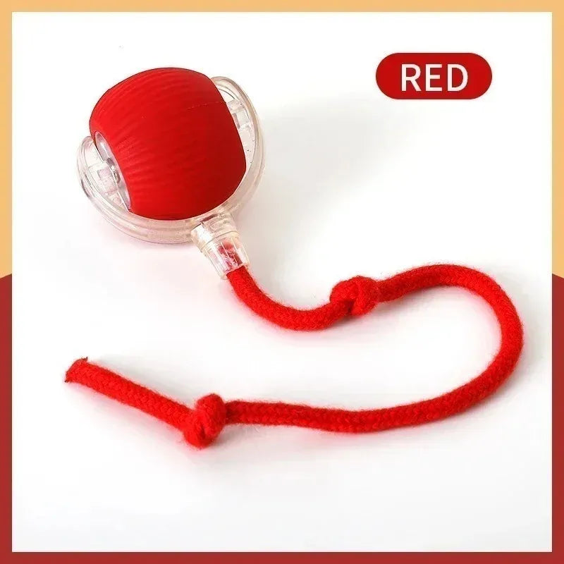 Electric Rolling Ball
