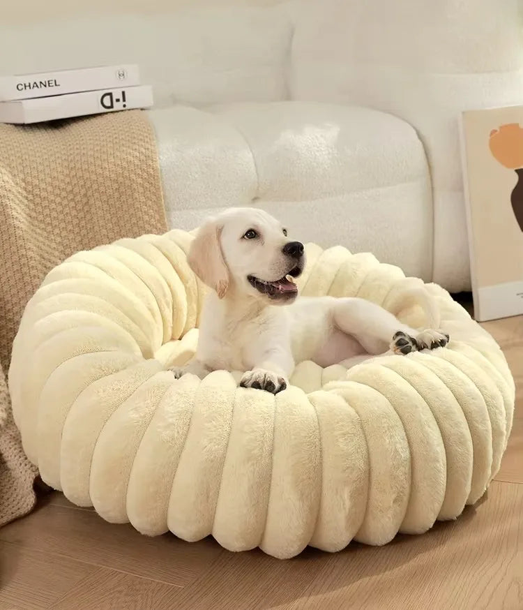 FluffHaven Pet Retreat
