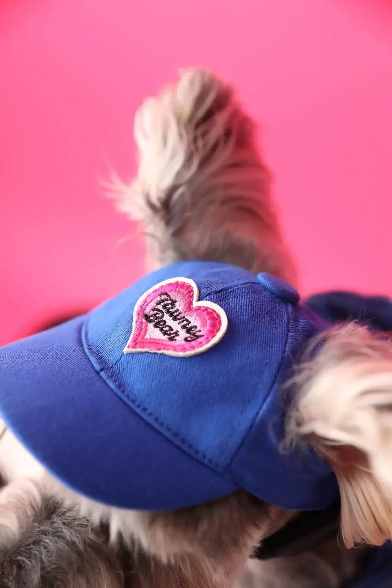 Urban Pup Hoodie