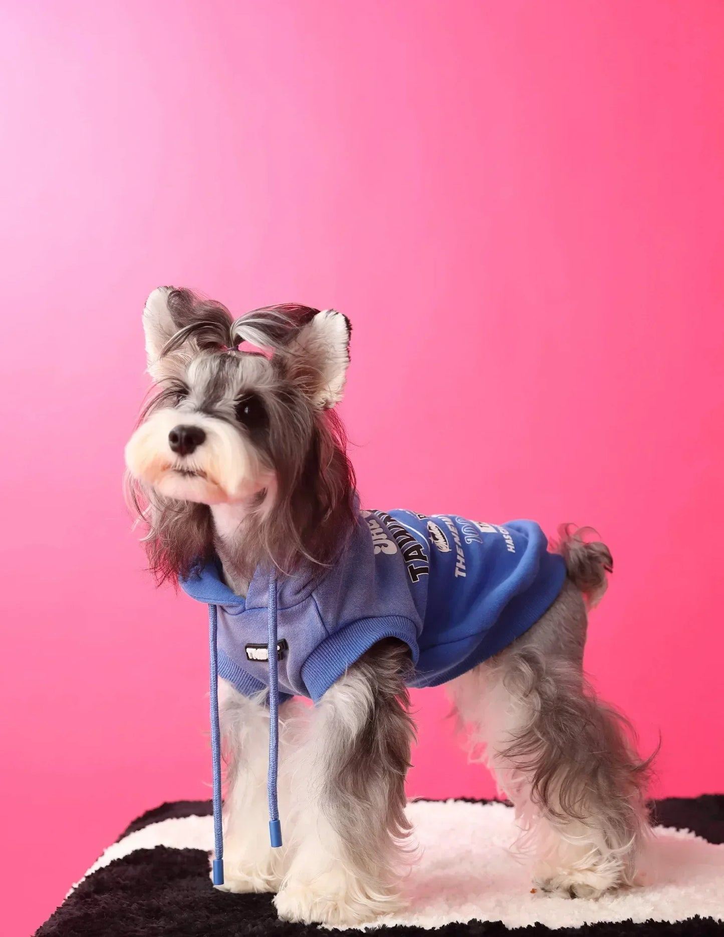 Urban Pup Hoodie