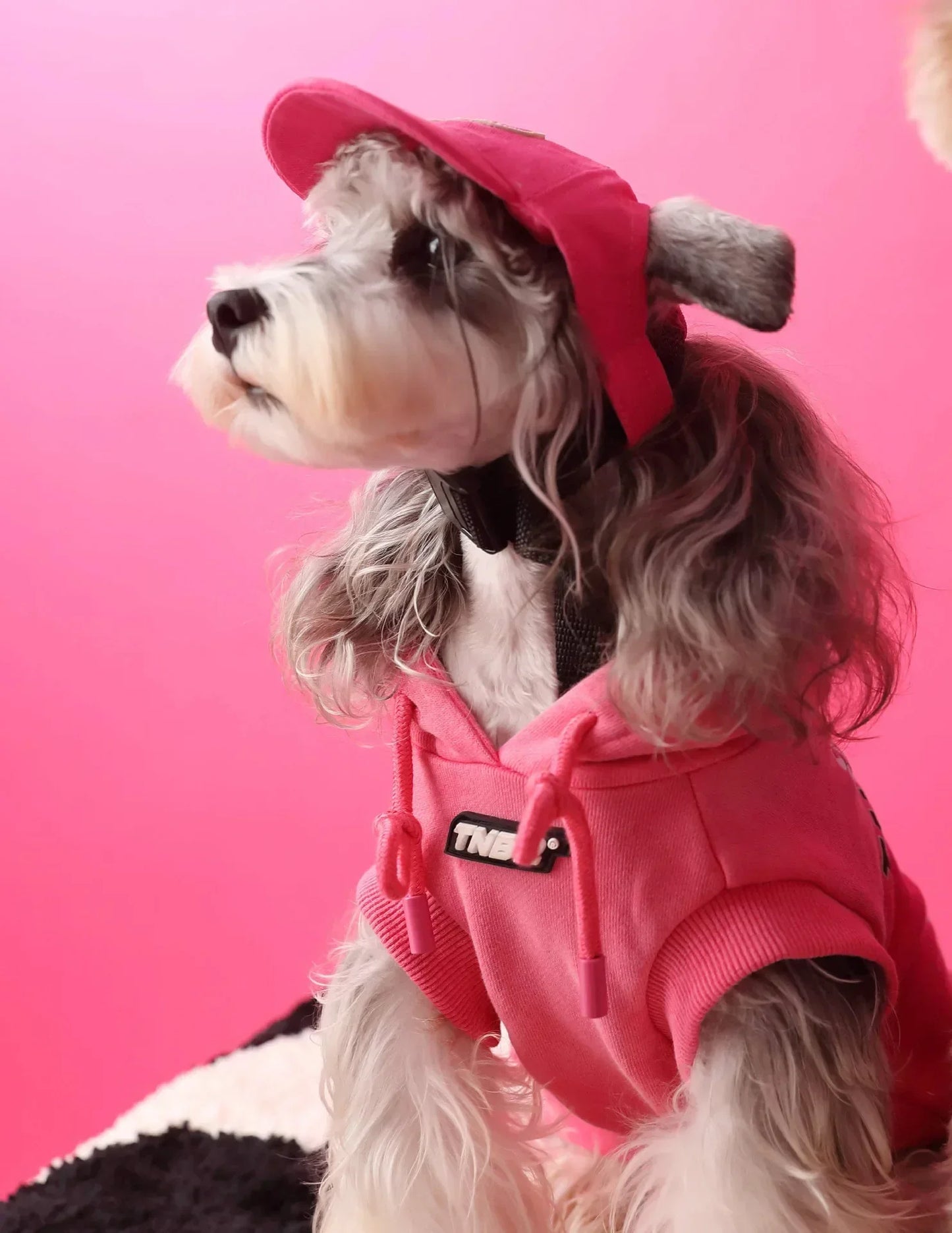 Urban Pup Hoodie