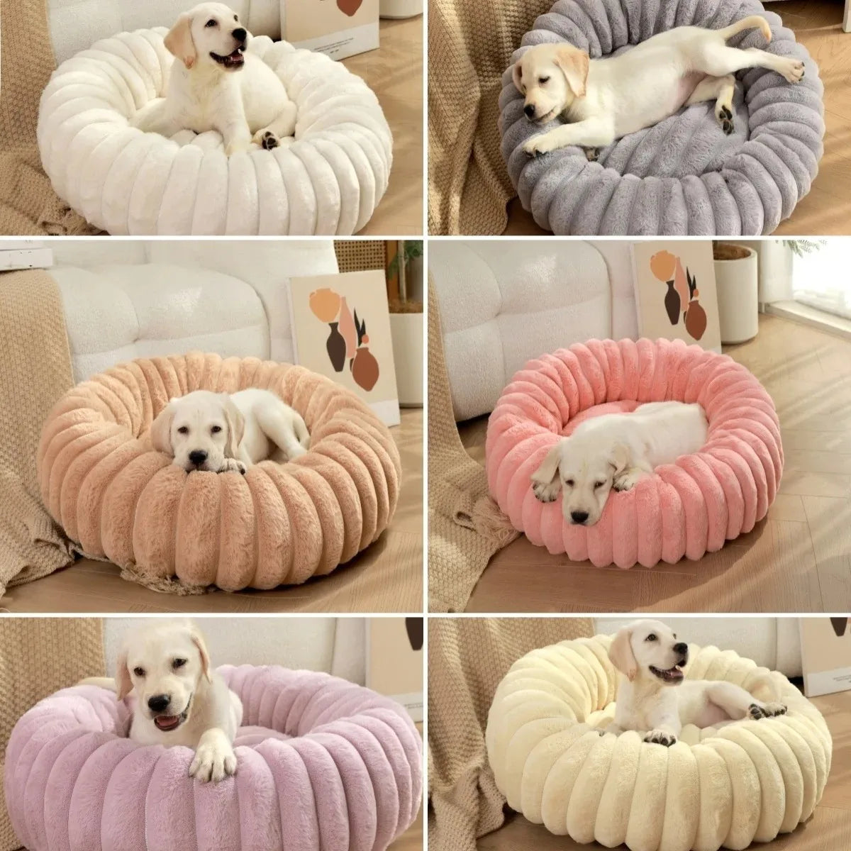 FluffHaven Pet Retreat