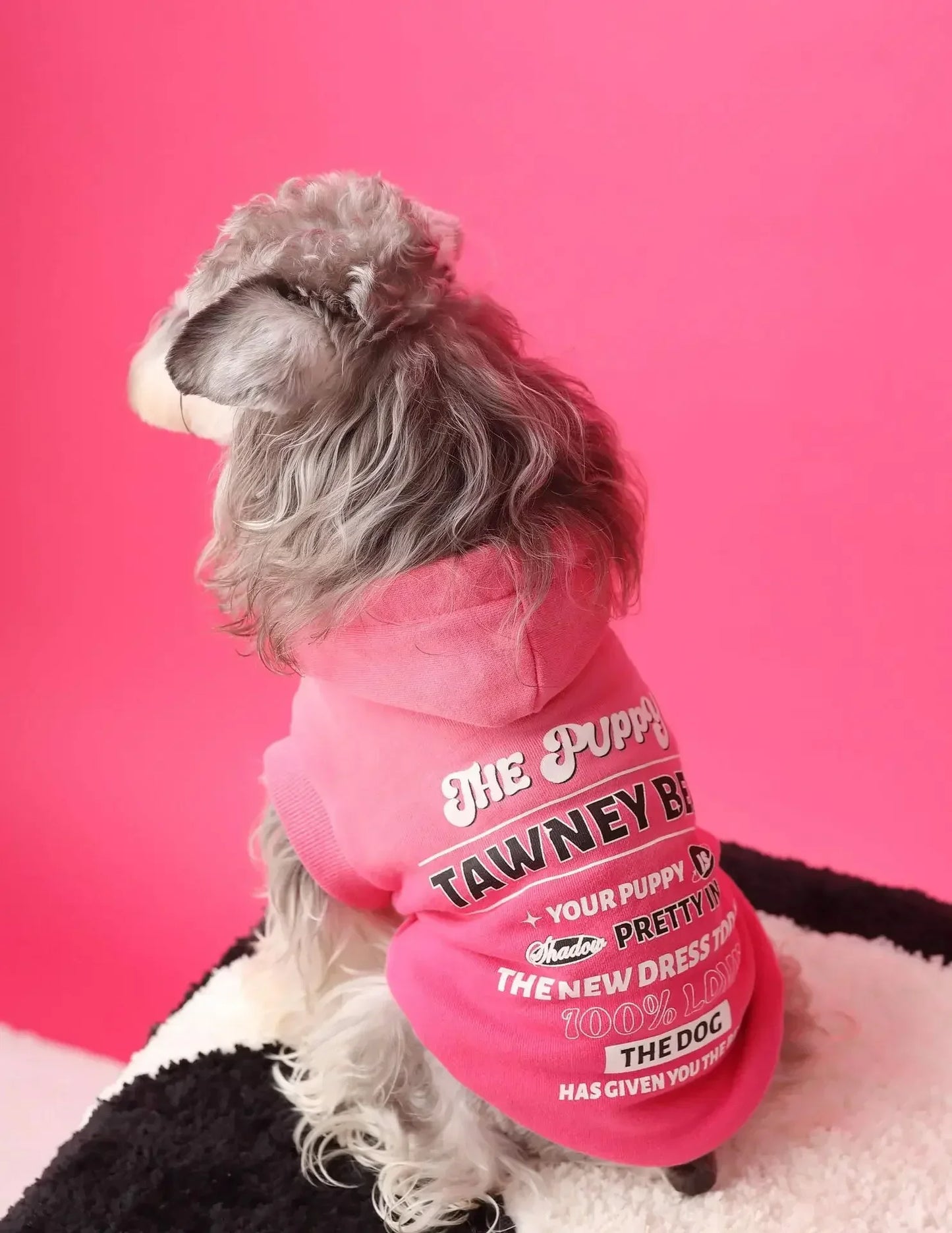 Urban Pup Hoodie