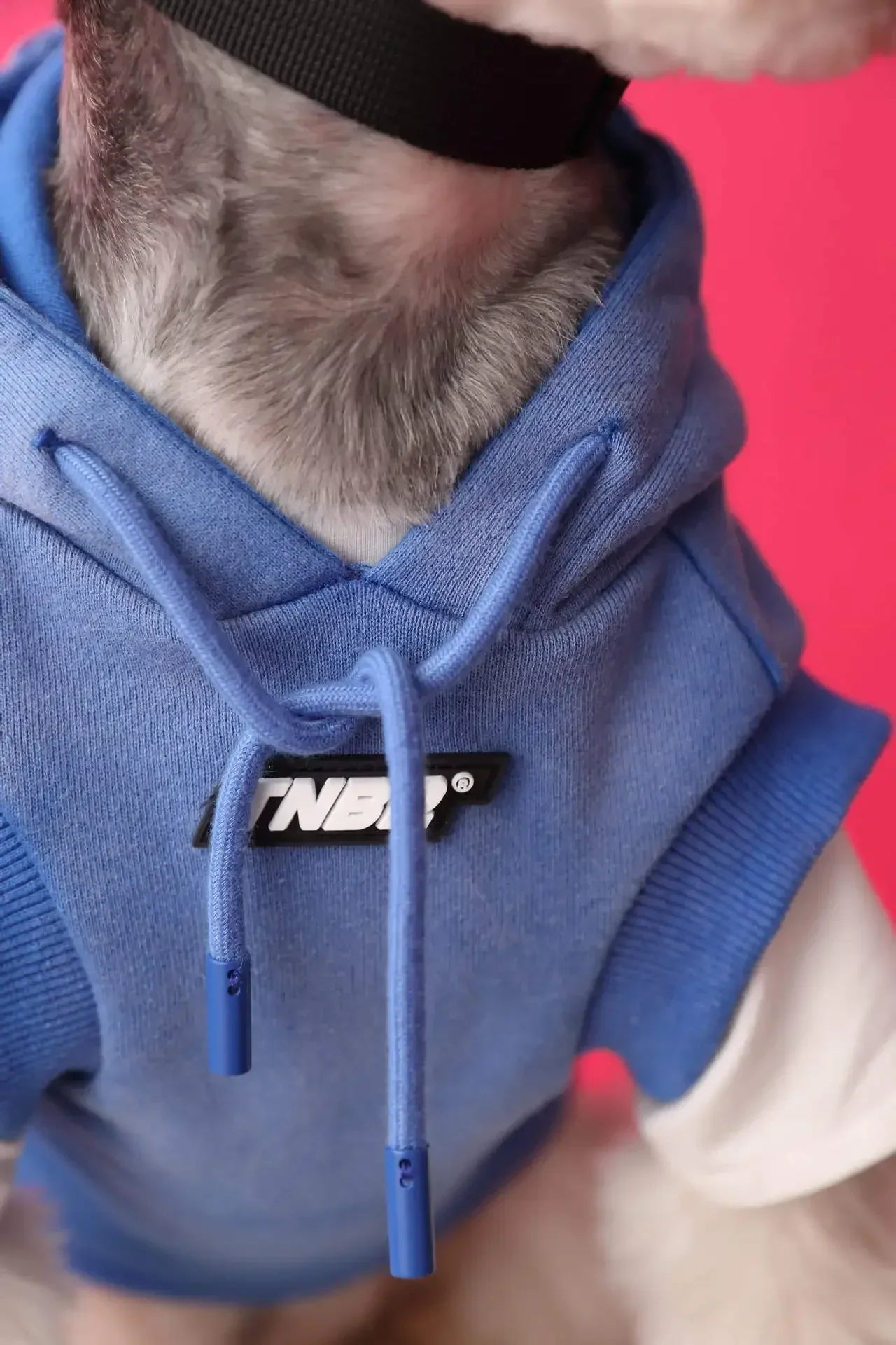 Urban Pup Hoodie