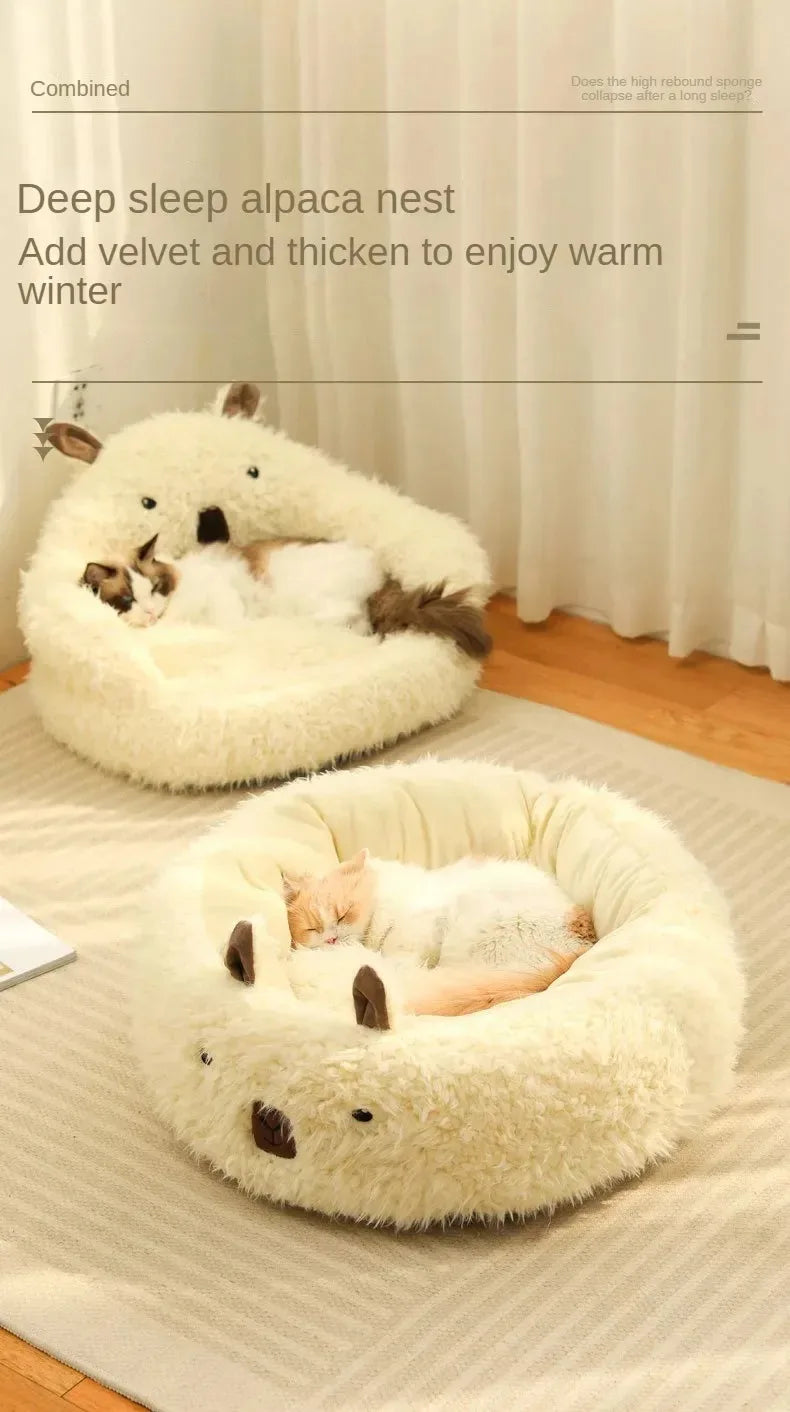 CuddleNest Paws