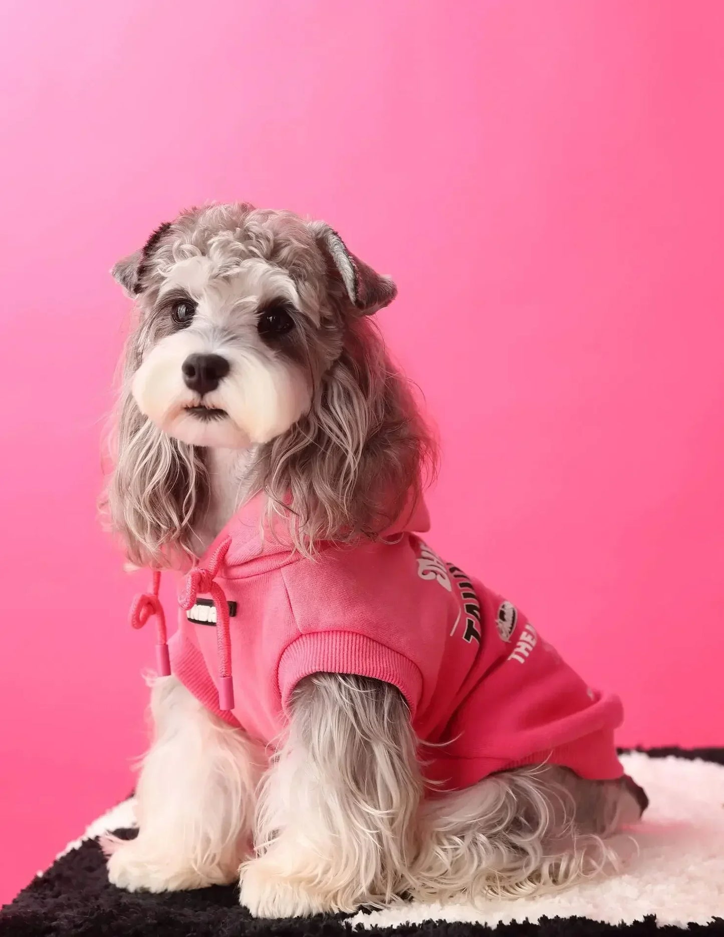 Urban Pup Hoodie