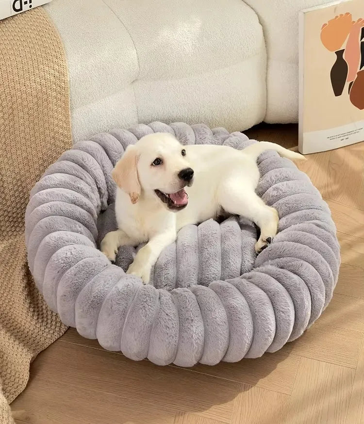 FluffHaven Pet Retreat