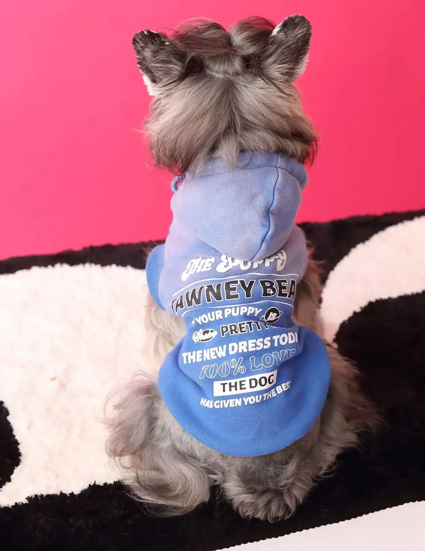 Urban Pup Hoodie
