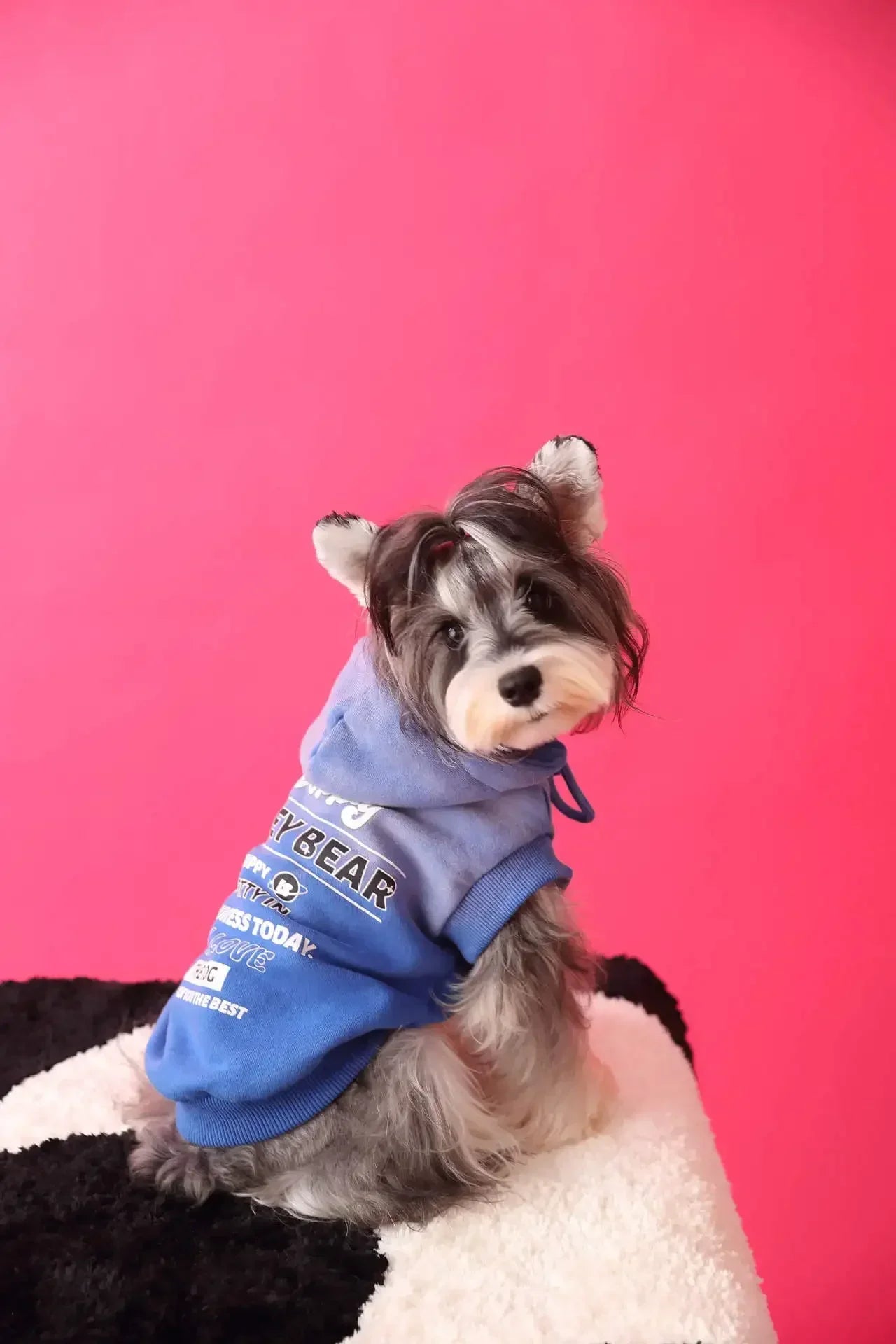 Urban Pup Hoodie