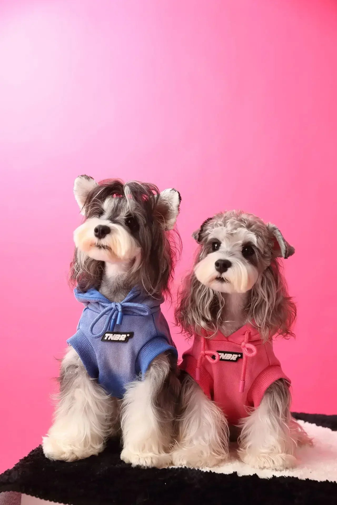 Urban Pup Hoodie