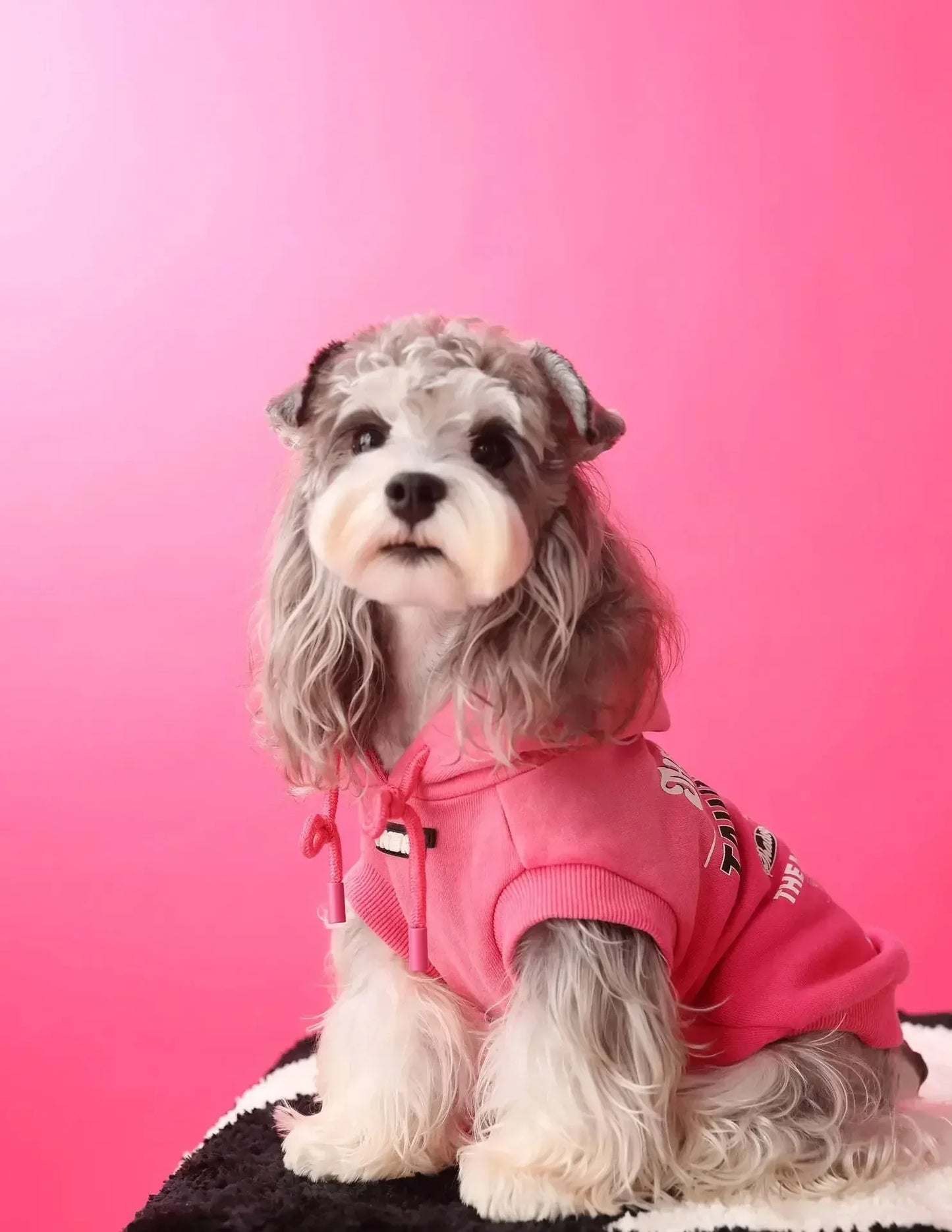 Urban Pup Hoodie