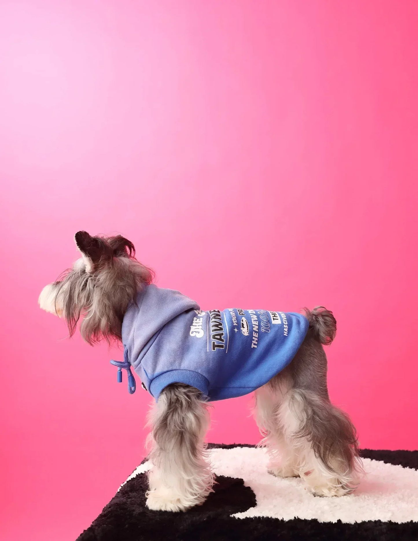 Urban Pup Hoodie