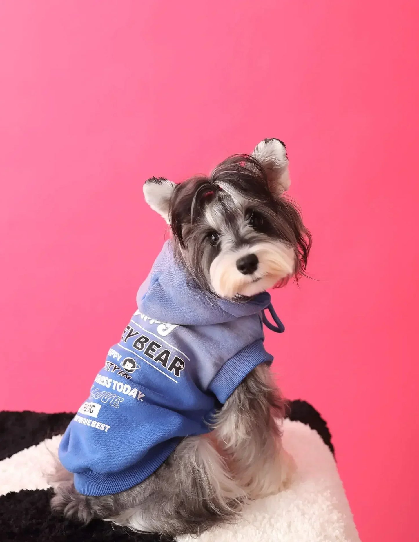 Urban Pup Hoodie