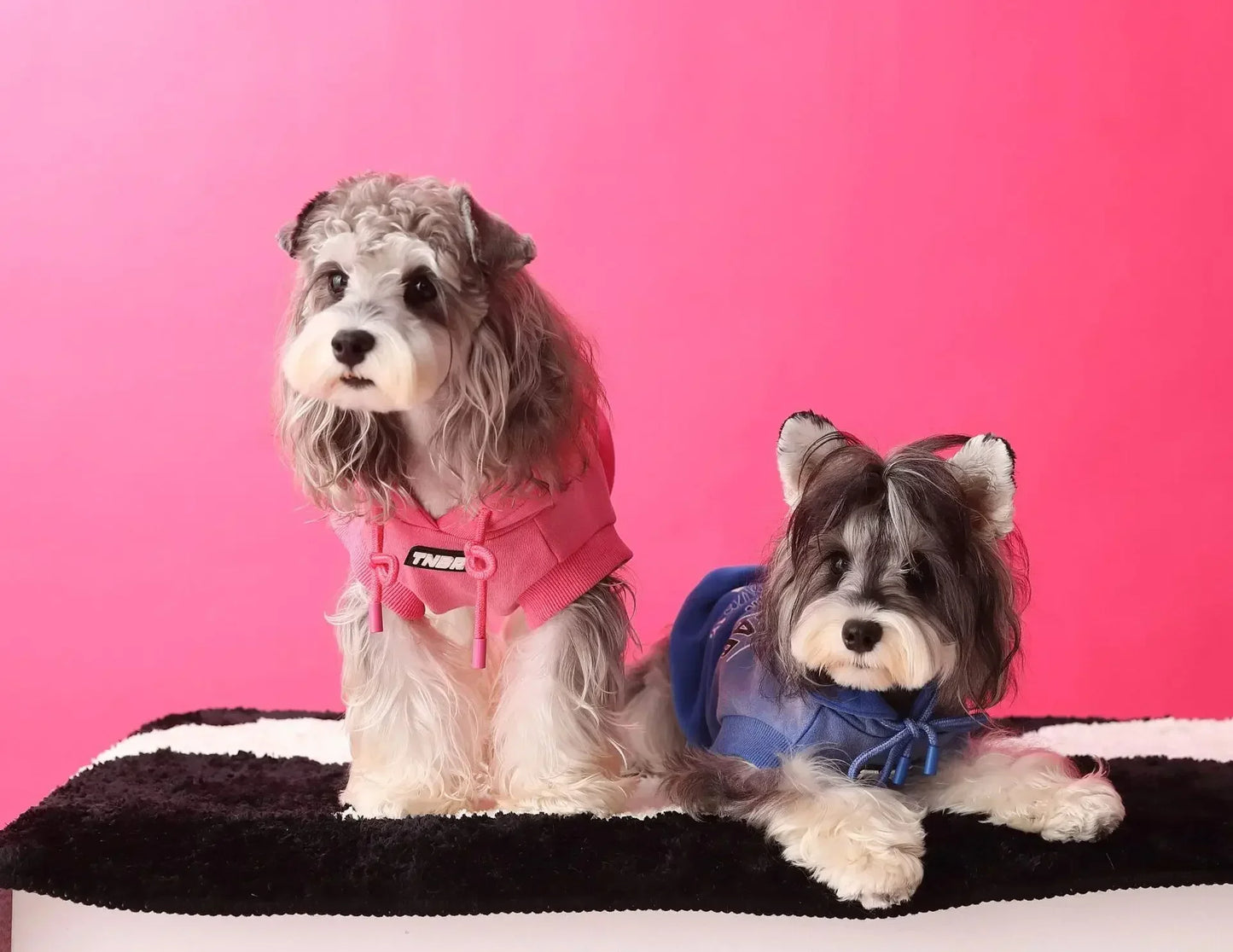 Urban Pup Hoodie