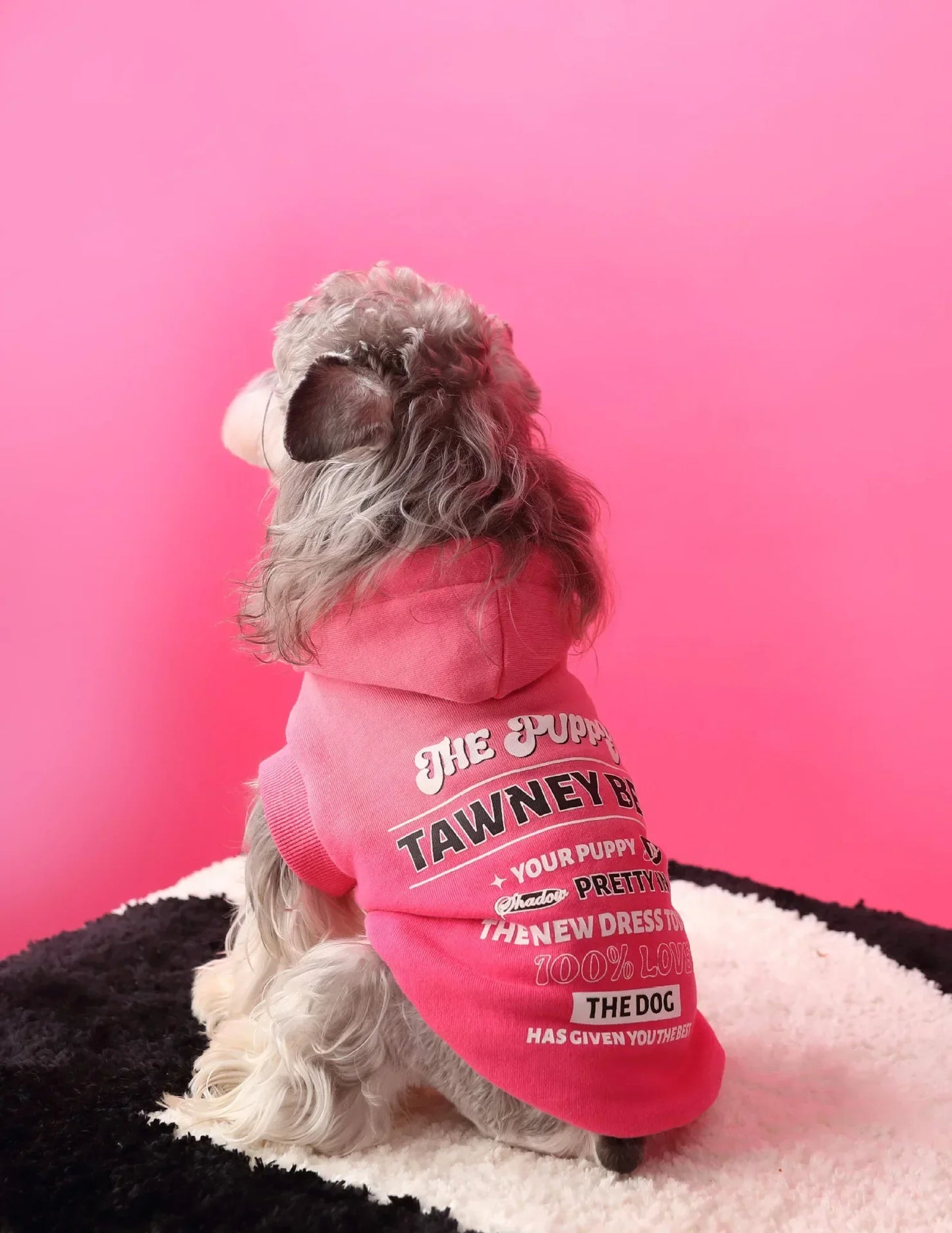 Urban Pup Hoodie