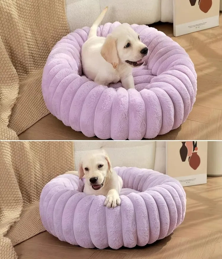 FluffHaven Pet Retreat