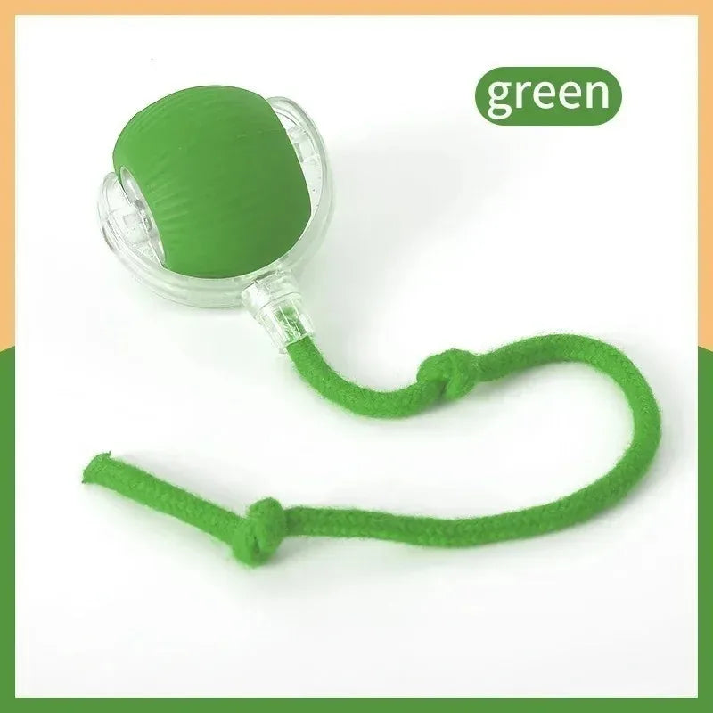 Electric Rolling Ball