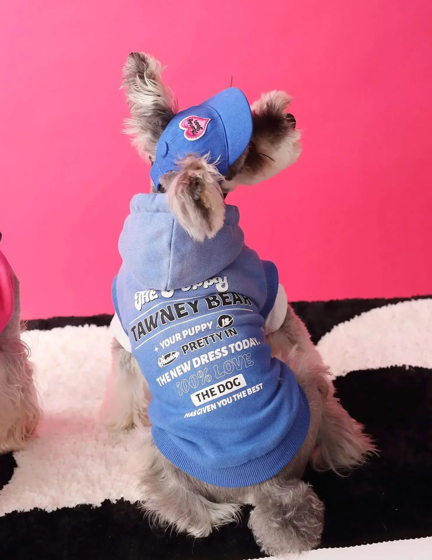 Urban Pup Hoodie