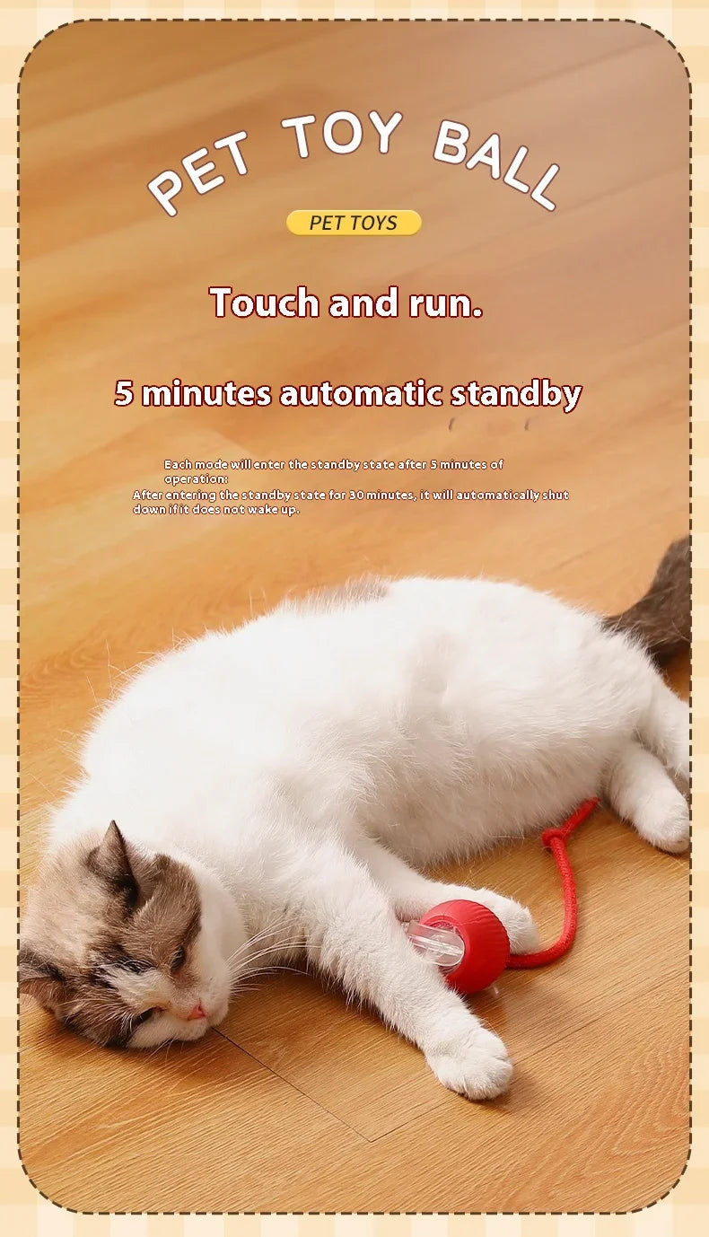 Electric Rolling Ball