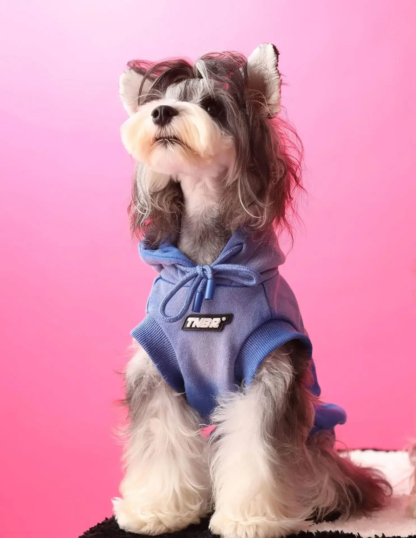 Urban Pup Hoodie