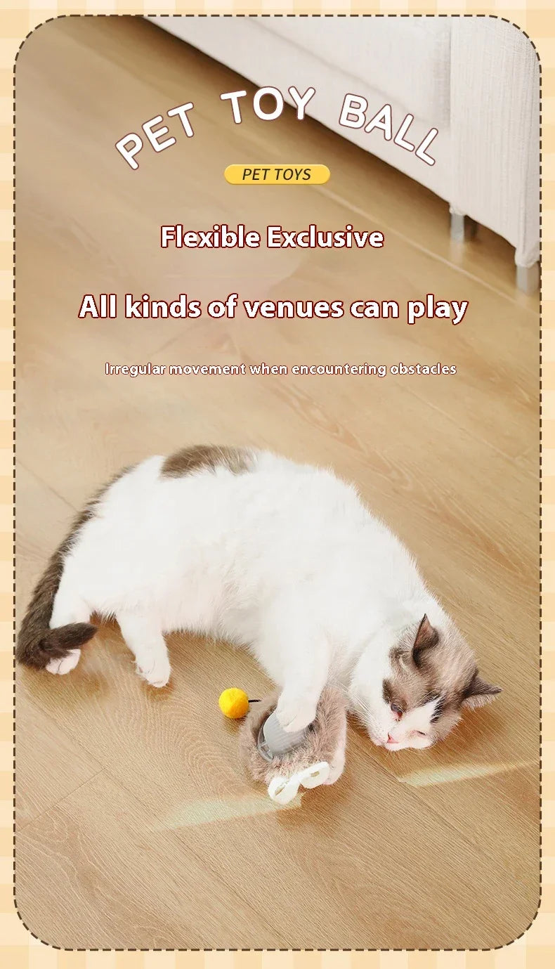 Electric Rolling Ball