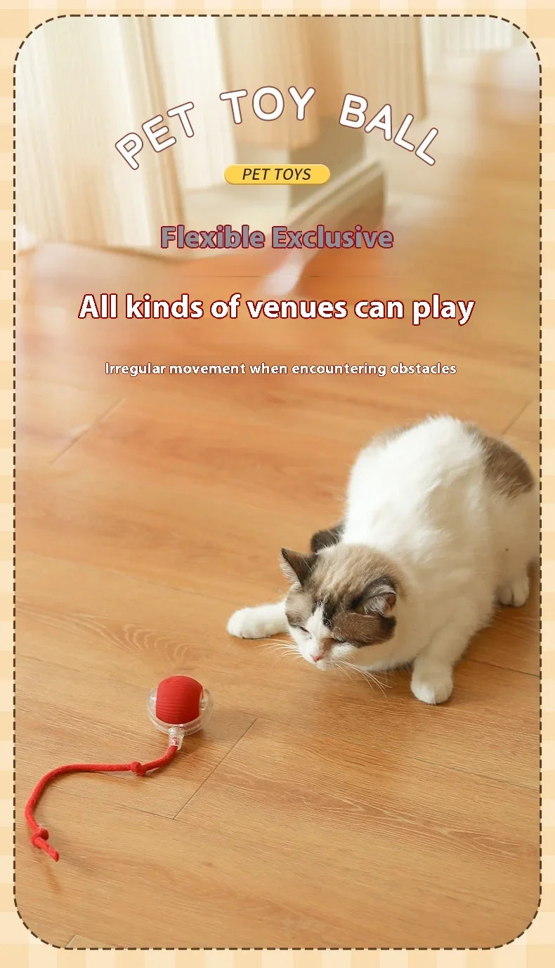 Electric Rolling Ball