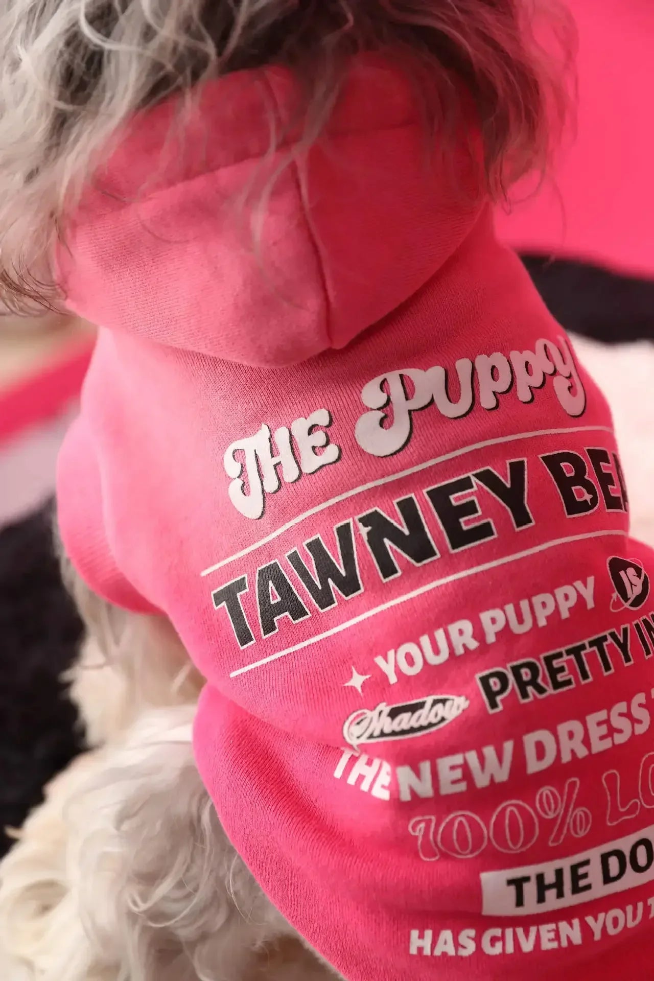 Urban Pup Hoodie