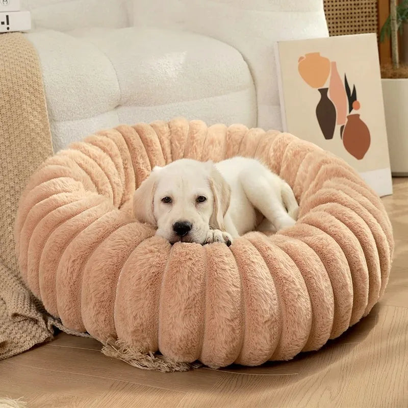 FluffHaven Pet Retreat