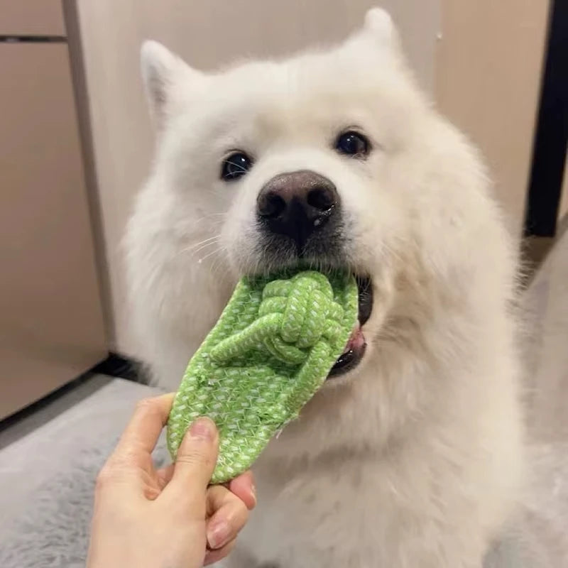 Knotted Rope Toy