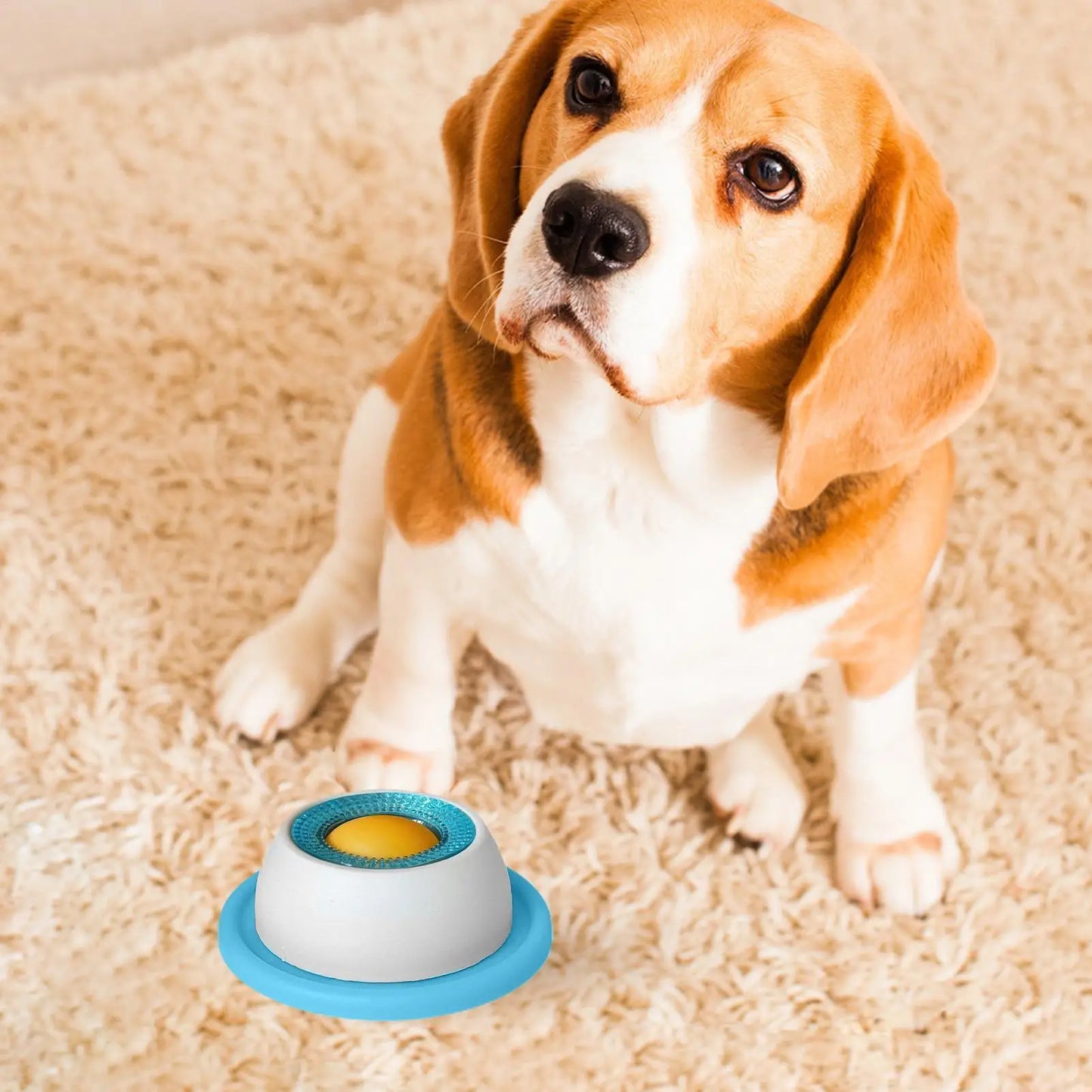 Lick Feeding Toy