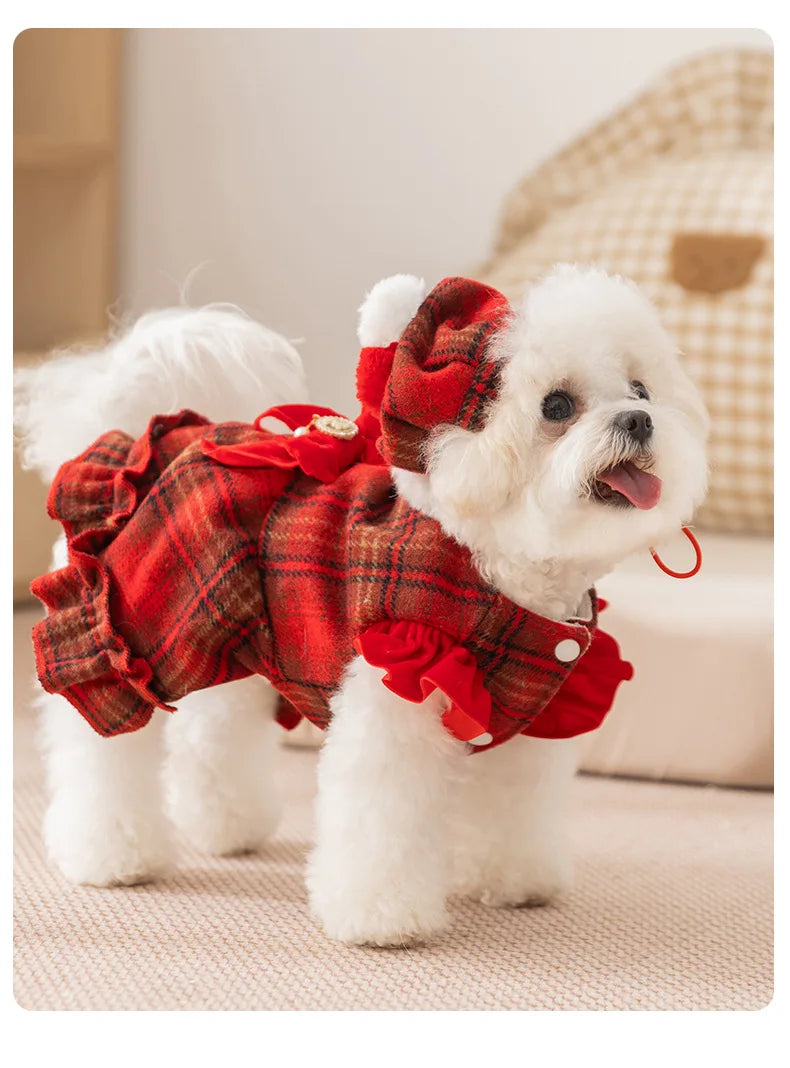 Frosty Paw Fashion