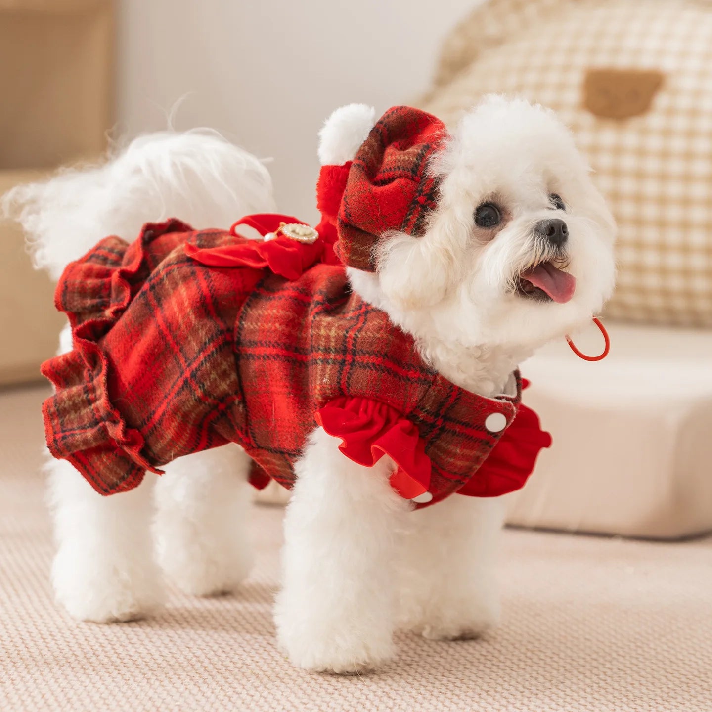 Frosty Paw Fashion