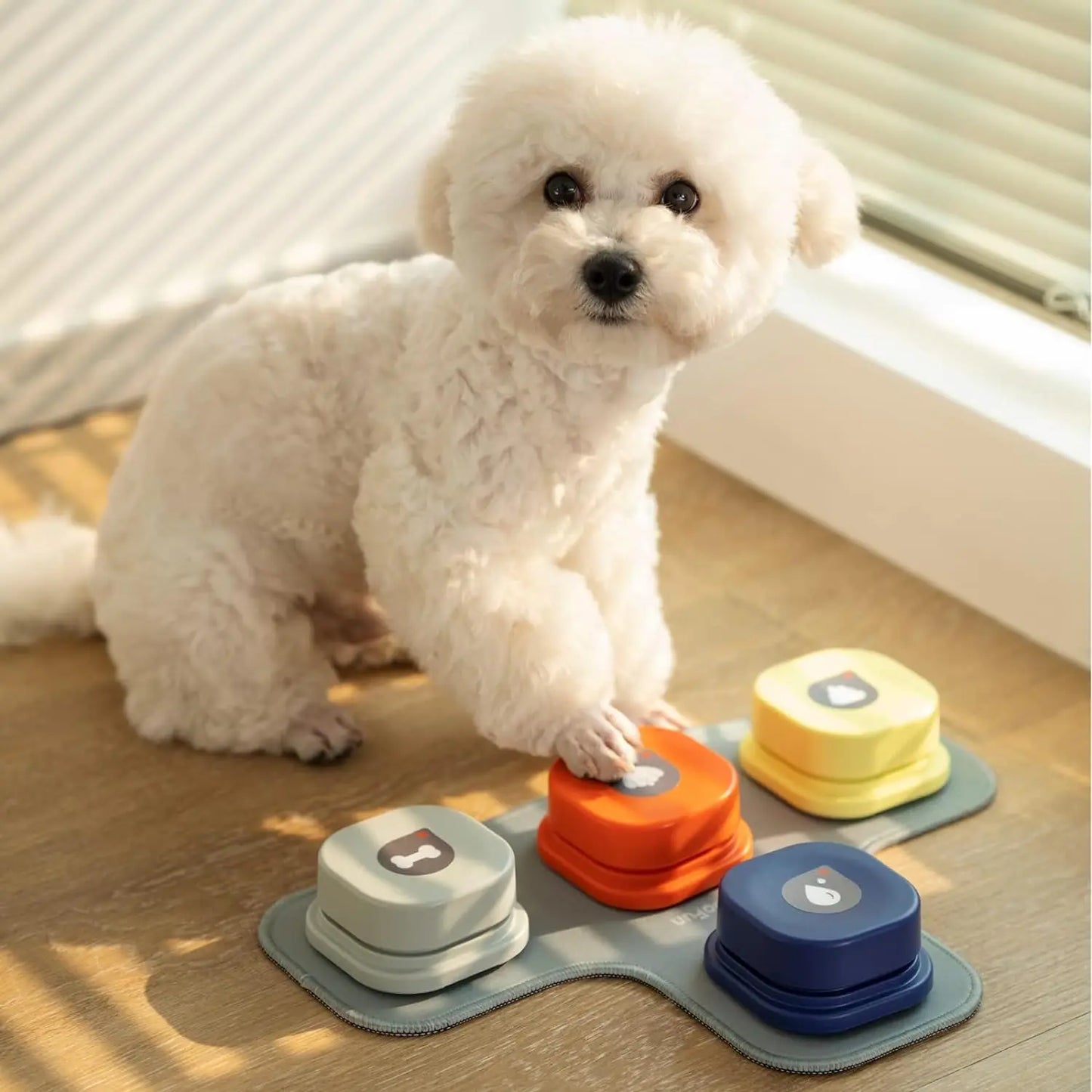 Dog Talk Buttons