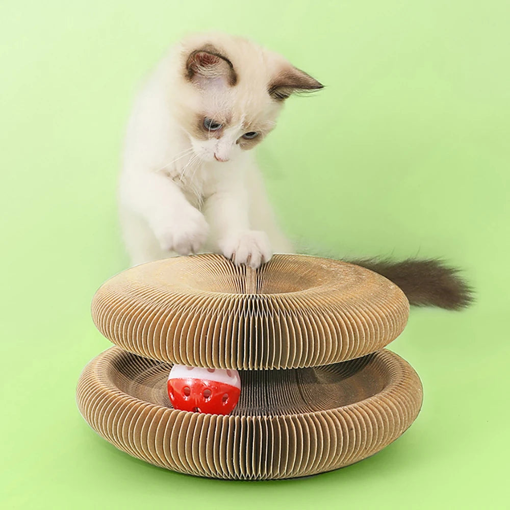 Paper Cat Scratching Board