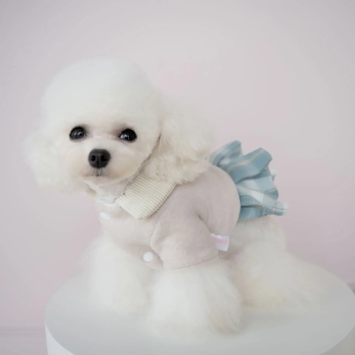 Teddy Winter Outfit