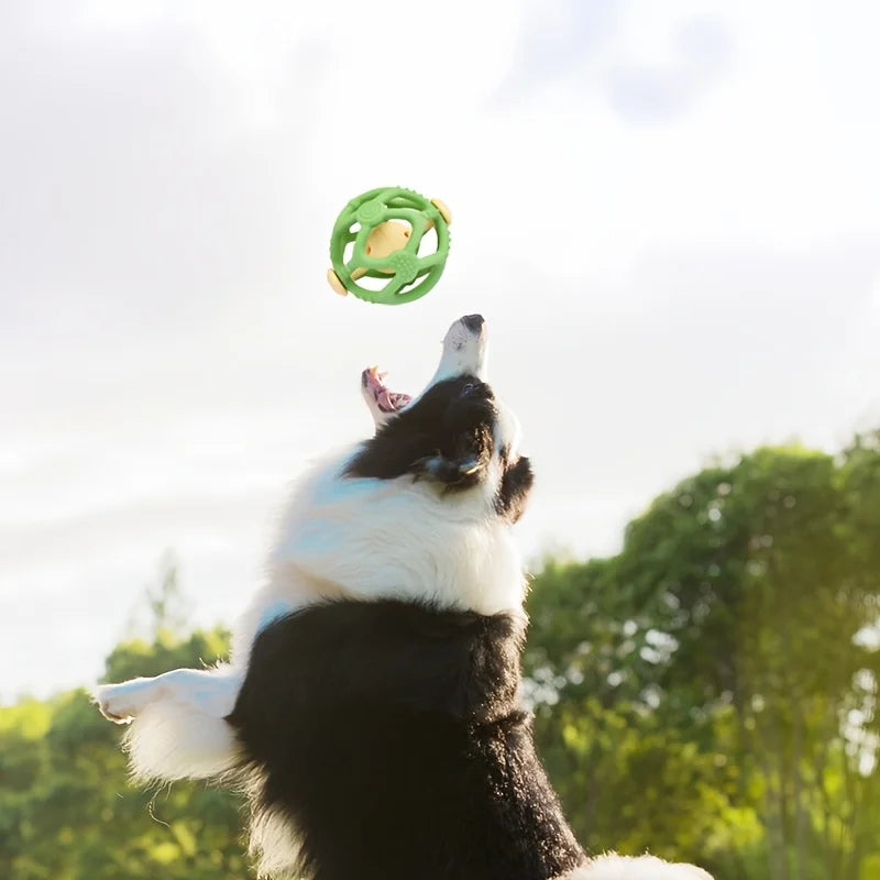 Fun Chew Ball Toy