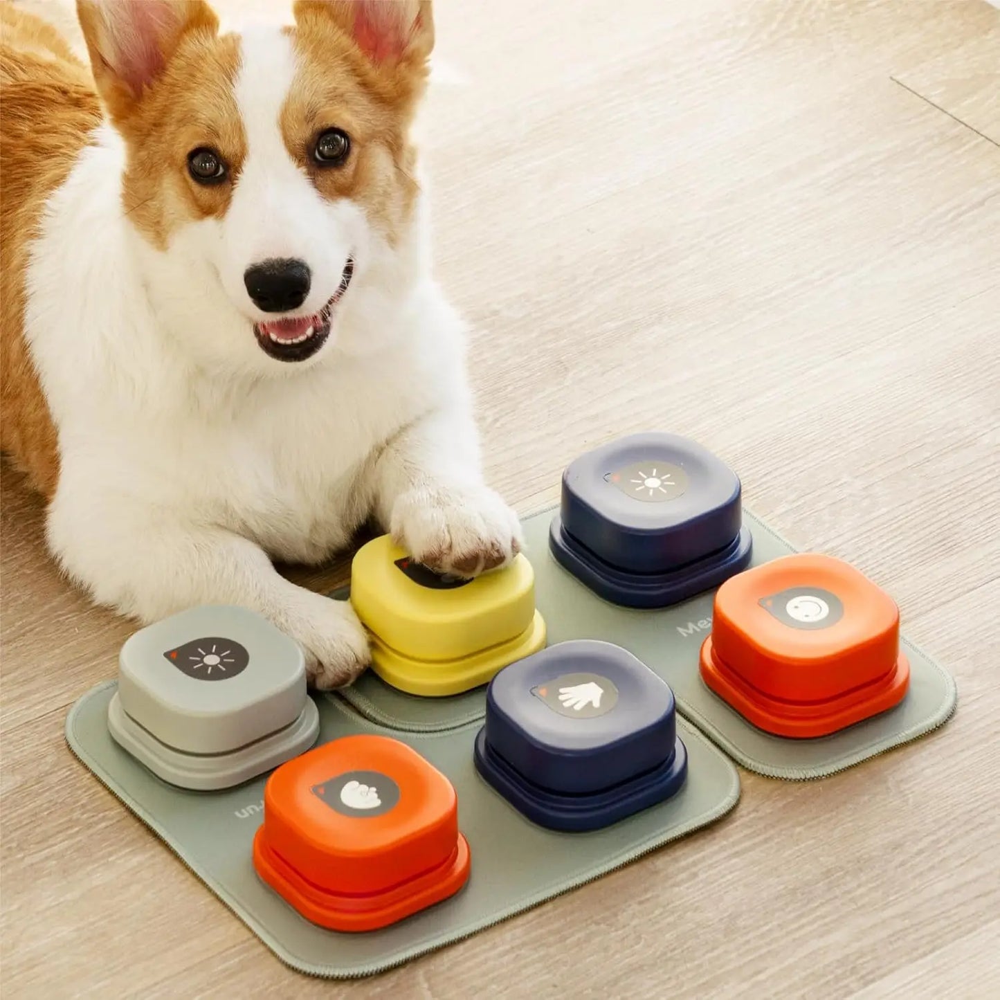 Dog Talk Buttons