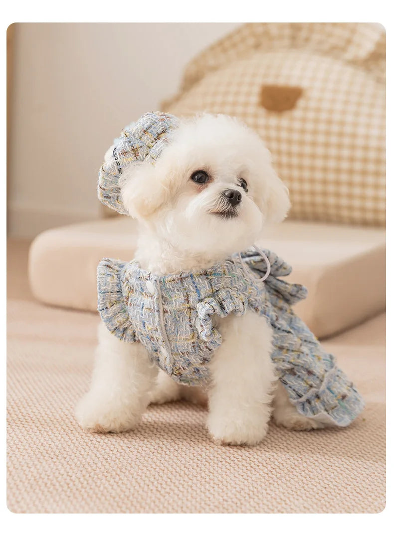 Frosty Paw Fashion
