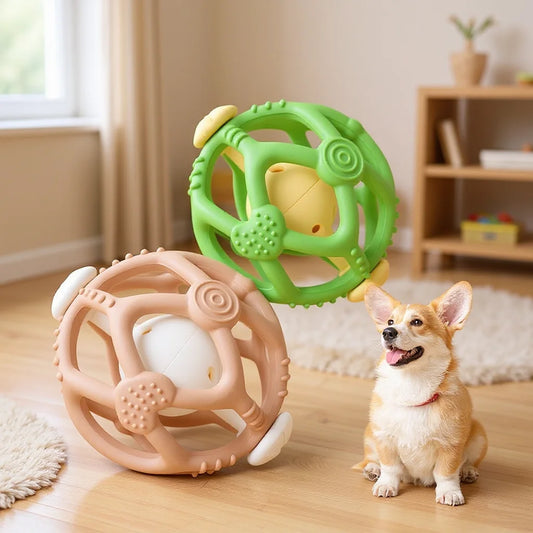 Fun Chew Ball Toy