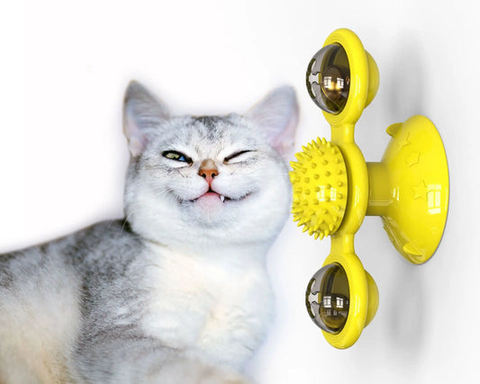 Interactive Windmill Toy 